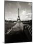 Eiffel Tower, Paris, France-Murat Taner-Mounted Photographic Print
