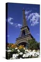 Eiffel Tower, Paris, France-Michael DeFreitas-Stretched Canvas