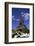 Eiffel Tower, Paris, France-Michael DeFreitas-Framed Photographic Print