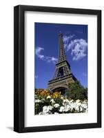 Eiffel Tower, Paris, France-Michael DeFreitas-Framed Photographic Print