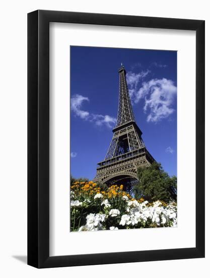 Eiffel Tower, Paris, France-Michael DeFreitas-Framed Photographic Print