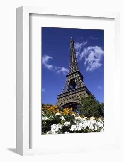 Eiffel Tower, Paris, France-Michael DeFreitas-Framed Photographic Print