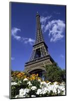 Eiffel Tower, Paris, France-Michael DeFreitas-Mounted Photographic Print