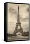Eiffel Tower, Paris, France-null-Framed Stretched Canvas