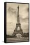 Eiffel Tower, Paris, France-null-Framed Stretched Canvas