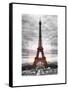 Eiffel Tower, Paris, France-Philippe Hugonnard-Framed Stretched Canvas