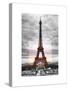 Eiffel Tower, Paris, France-Philippe Hugonnard-Stretched Canvas