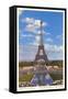 Eiffel Tower, Paris, France-null-Framed Stretched Canvas