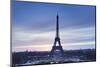 Eiffel Tower, Paris, Ile De France, France, Europe-Markus Lange-Mounted Photographic Print