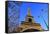 Eiffel Tower, Paris, Ile de France, France, Europe-Hans-Peter Merten-Framed Stretched Canvas