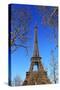 Eiffel Tower, Paris, Ile de France, France, Europe-Hans-Peter Merten-Stretched Canvas