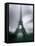 Eiffel Tower, Paris, Ile-De-France, France-Mark Newman-Framed Stretched Canvas