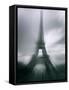 Eiffel Tower, Paris, Ile-De-France, France-Mark Newman-Framed Stretched Canvas