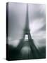 Eiffel Tower, Paris, Ile-De-France, France-Mark Newman-Stretched Canvas