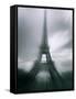 Eiffel Tower, Paris, Ile-De-France, France-Mark Newman-Framed Stretched Canvas