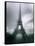 Eiffel Tower, Paris, Ile-De-France, France-Mark Newman-Framed Stretched Canvas