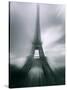 Eiffel Tower, Paris, Ile-De-France, France-Mark Newman-Stretched Canvas