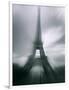 Eiffel Tower, Paris, Ile-De-France, France-Mark Newman-Framed Photographic Print