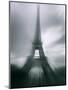 Eiffel Tower, Paris, Ile-De-France, France-Mark Newman-Mounted Photographic Print