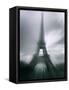 Eiffel Tower, Paris, Ile-De-France, France-Mark Newman-Framed Stretched Canvas