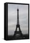 Eiffel Tower Paris Skyline Photo Art Poster Print-null-Framed Stretched Canvas