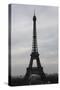 Eiffel Tower Paris Skyline Photo Art Poster Print-null-Stretched Canvas