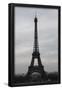 Eiffel Tower Paris Skyline Photo Art Poster Print-null-Framed Poster