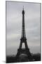 Eiffel Tower Paris Skyline Photo Art Poster Print-null-Mounted Poster