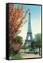 Eiffel Tower, Peach Blossoms-null-Framed Stretched Canvas