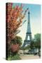 Eiffel Tower, Peach Blossoms-null-Stretched Canvas