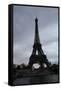 Eiffel Tower River Paris Photo 3 Art Print Poster-null-Framed Stretched Canvas