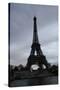 Eiffel Tower River Paris Photo 3 Art Print Poster-null-Stretched Canvas