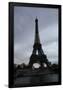 Eiffel Tower River Paris Photo 3 Art Print Poster-null-Framed Poster
