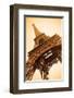 Eiffel Tower Sepia Paris France-null-Framed Art Print