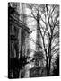 Eiffel Tower View of Winter Trocadero - Paris, France - Black and White Photography-Philippe Hugonnard-Stretched Canvas