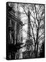 Eiffel Tower View of Winter Trocadero - Paris, France - Black and White Photography-Philippe Hugonnard-Framed Stretched Canvas