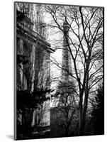 Eiffel Tower View of Winter Trocadero - Paris, France-Philippe Hugonnard-Mounted Art Print