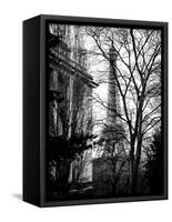 Eiffel Tower View of Winter Trocadero - Paris, France-Philippe Hugonnard-Framed Stretched Canvas