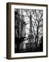 Eiffel Tower View of Winter Trocadero - Paris, France-Philippe Hugonnard-Framed Art Print