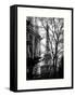 Eiffel Tower View of Winter Trocadero - Paris, France-Philippe Hugonnard-Framed Stretched Canvas