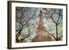 Eiffel Tower Vintage-Cora Niele-Framed Giclee Print