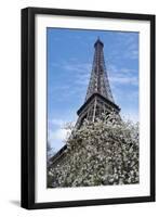 Eiffel Tower with Blossoming Magnolia-Cora Niele-Framed Photographic Print