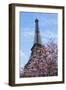 Eiffel Tower with Pink Magnolia Tree-Cora Niele-Framed Photographic Print