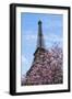 Eiffel Tower with Pink Magnolia Tree-Cora Niele-Framed Photographic Print