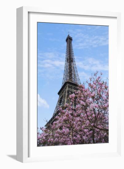 Eiffel Tower with Pink Magnolia Tree-Cora Niele-Framed Photographic Print