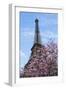 Eiffel Tower with Pink Magnolia Tree-Cora Niele-Framed Photographic Print