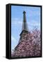 Eiffel Tower with Pink Magnolia Tree-Cora Niele-Framed Stretched Canvas