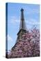 Eiffel Tower with Pink Magnolia Tree-Cora Niele-Stretched Canvas