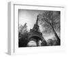 Eiffel Tower With Tree-Stéphane Graciet-Framed Art Print