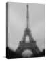 Eiffel Tower-null-Stretched Canvas